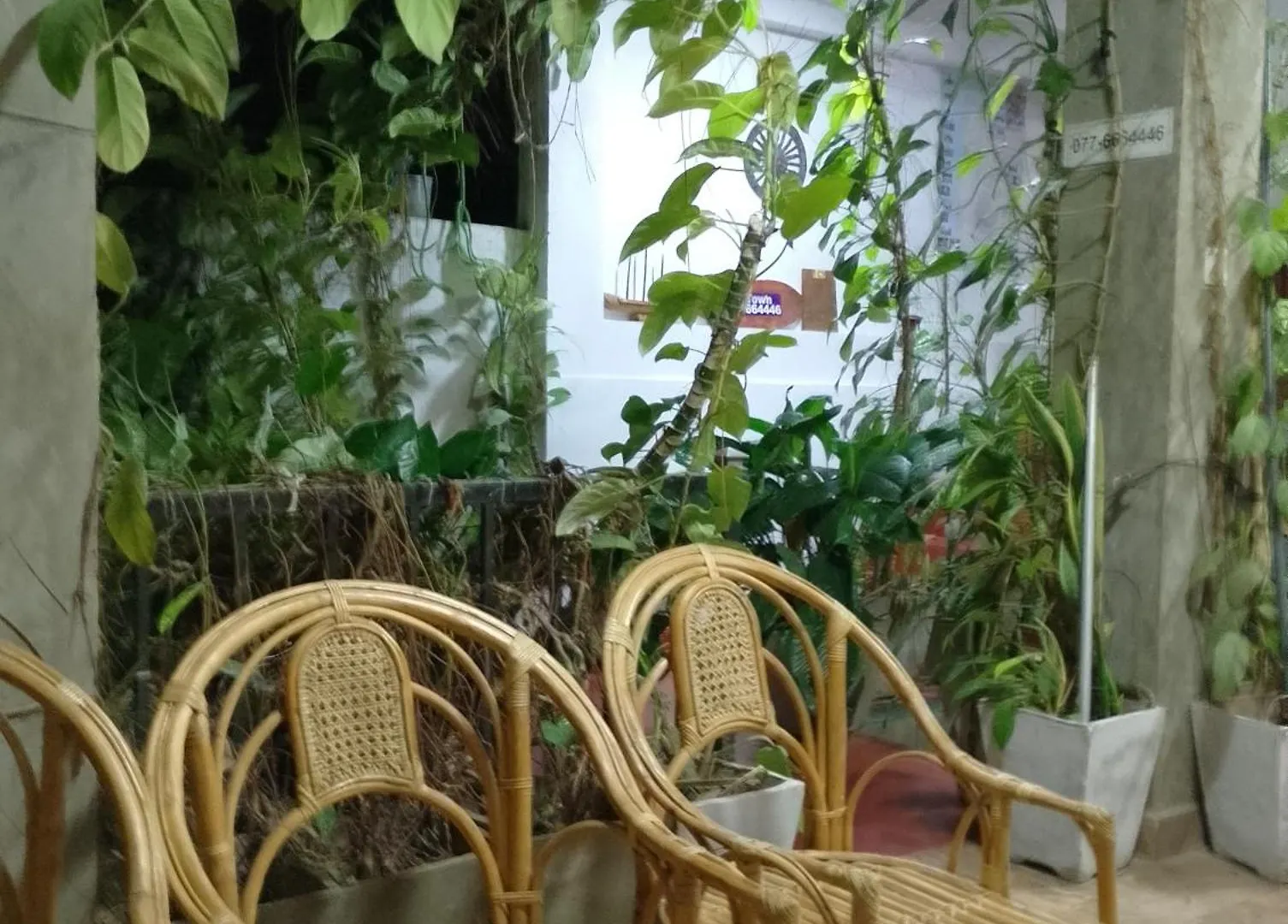 康提老城旅舍公寓 斯里兰卡